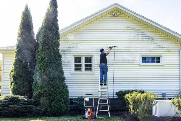 Local Pressure Washing Services in Union Park, FL